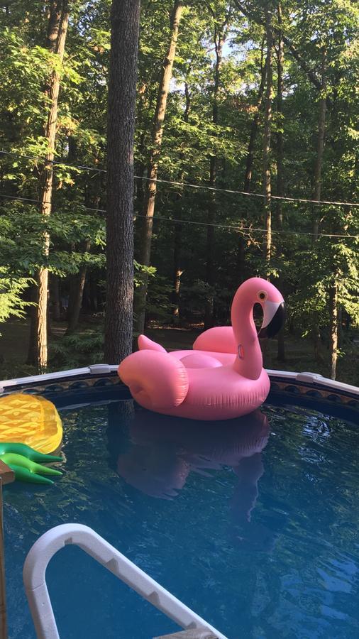 Pocono Cabin With Private Pool At Shawnee Mtn East Stroudsburg Zewnętrze zdjęcie